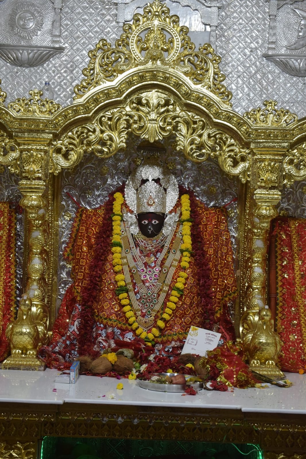 naidunia_image